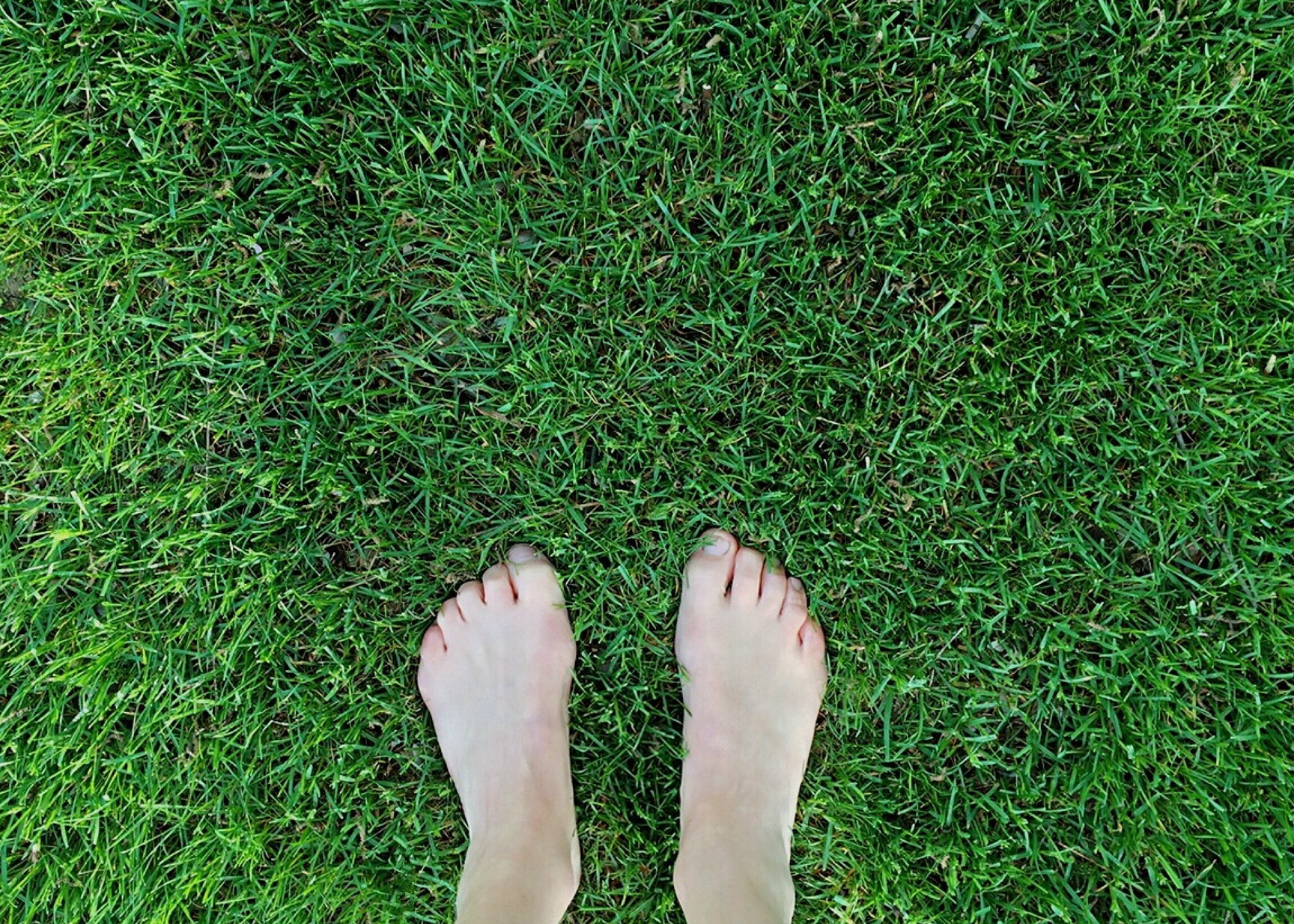 barefoot-g59a0352bd-1920.11.6560cb798895c